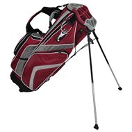 RJ Sports Ace Stand