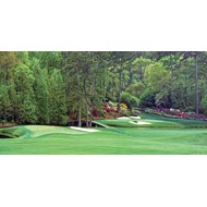 Biggies Augusta National #12 Wall Mural