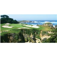 Biggies Cypress Point #15 Wall Mural