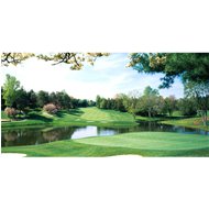 Biggies Congressional #10 Wall Mural