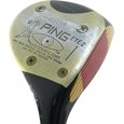 Ping EYE 2